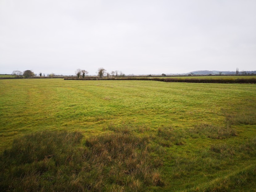 Strip culture still visible by the Severn